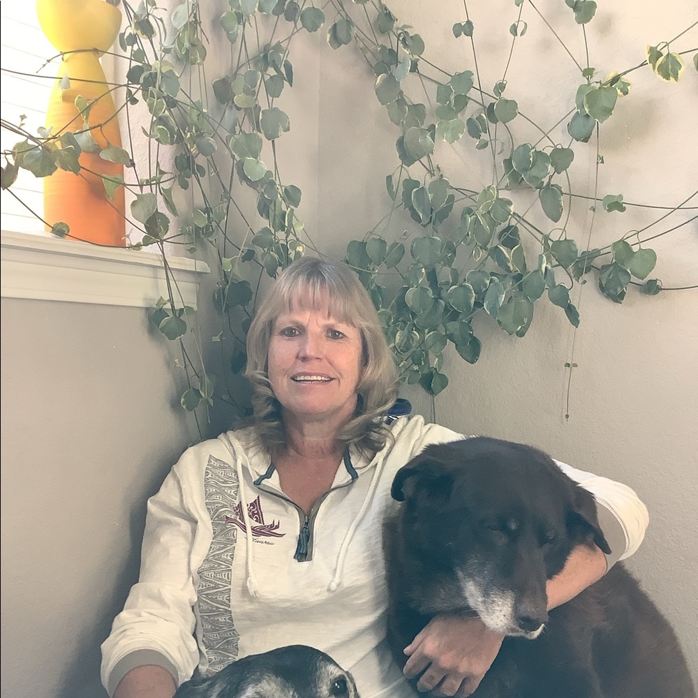 Meet your Posher, Molly